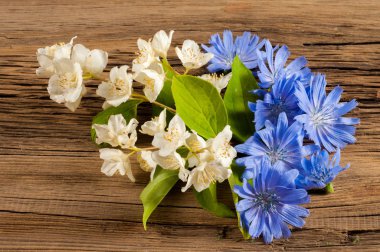Kır çiçekleri. Stüdyo fotoğrafçılığı. Papatya, Yasemin, peygamber çiçeği, Doronicum, tahtaya