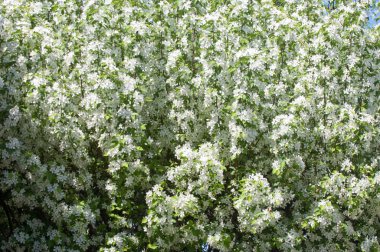 Teknogen peyzaj, kentsel. Yükselen güneş ışınlarının kutbunda enerji. Mesajını yüksek kurşun transferi için. Çelik elektrik direkleri