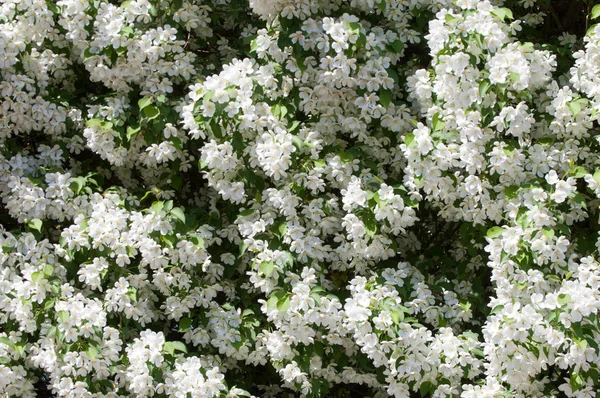 Teknogen peyzaj, kentsel. Yükselen güneş ışınlarının kutbunda enerji. Mesajını yüksek kurşun transferi için. Çelik elektrik direkleri