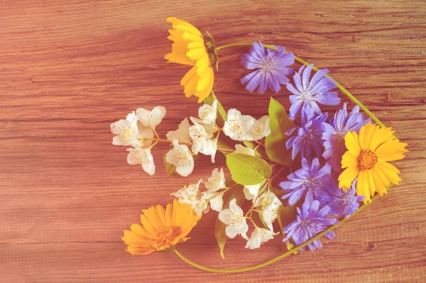 Kır çiçekleri. Stüdyo fotoğrafçılığı. Papatya, Yasemin, peygamber çiçeği, Doronicum, tahtaya