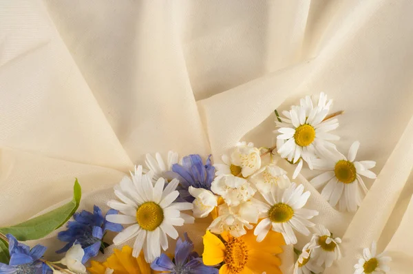 Wildflowers Studio Photography Chamomile Jasmine Flowers Photographed Silk Fabric — Stock Photo, Image