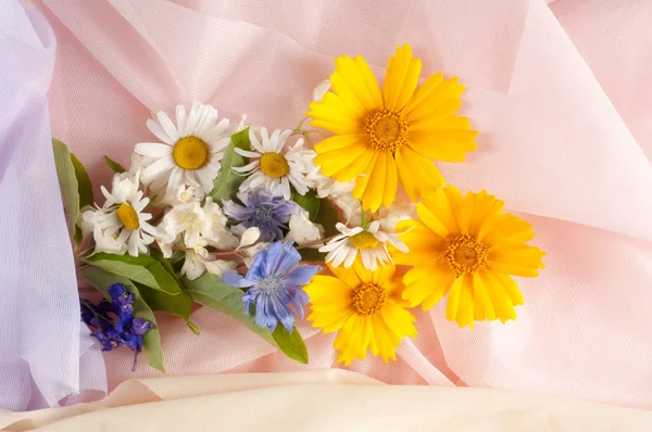 Wildflowers Studio Photography Chamomile Jasmine Doronicum Cornflower Flowers Photographed Silk — Stock Photo, Image