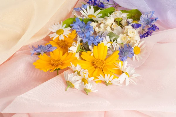 Wildflowers Studio Photography Chamomile Jasmine Doronicum Cornflower Flowers Photographed Silk — Stock Photo, Image