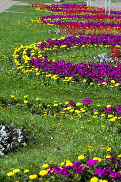 Frühling Urbane Landschaft Stadtparks Grüne Rasenfläche Stadtpark Schönes Morgenlicht Öffentlichen — Stockfoto