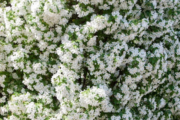 Teknogen peyzaj, kentsel. Yükselen güneş ışınlarının kutbunda enerji. Mesajını yüksek kurşun transferi için. Çelik elektrik direkleri