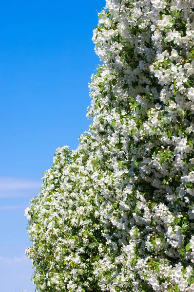 Teknogen peyzaj, kentsel. Yükselen güneş ışınlarının kutbunda enerji. Mesajını yüksek kurşun transferi için. Çelik elektrik direkleri