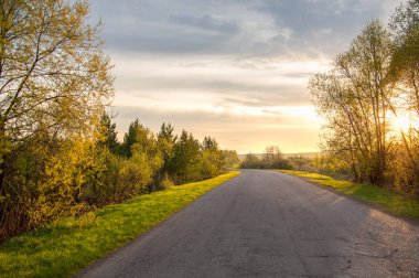 Bahar peyzaj, gündoğumu gündoğumu. Çayır ağaçları, kırsal manzara ile. manzara. Alan ve çim. 