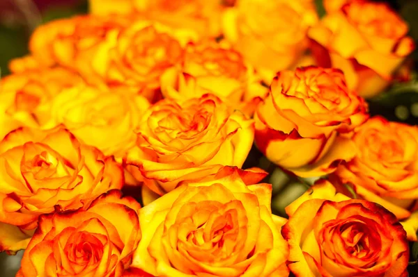 A portrait of flowers roses in a bouquet. Bouquet of roses, different colors, top view, portrait image.