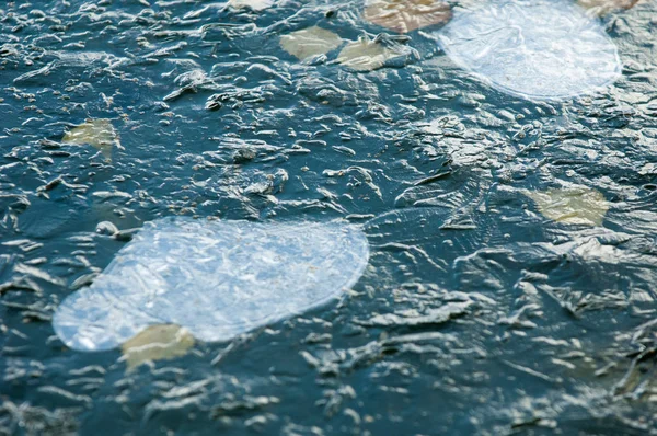 Podzim Parku Ledové Vody Povodí Listy Zamrzlé Ledu Žluté Listy — Stock fotografie