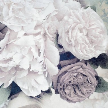 Kadife kumaş, ipek, jakarlı. doku. Fotoğraf stüdyosu