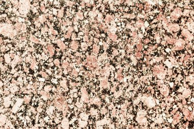 doku taş. içinde belgili tanımlık vahşi fotoğrafı