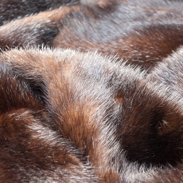 Texture Mink Fur Mink Coat Photo Studio — Stock Photo, Image