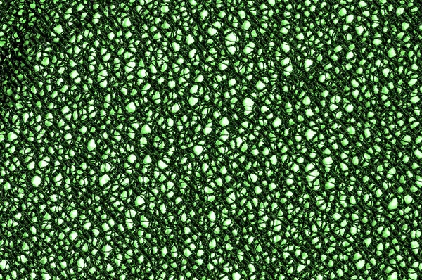 doku arka plan deseni. dantel kumaş. yeşil malakit renk. Kesinlikle çok etkileyici. Tam onun örtüsü ancak tasarımınızı daha cömert cazibe. Senin başyapıtlarından oluşturun. o bezle