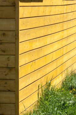 Doku, arka plan, desen. İyi bir arka plan. Panoları kalkan olarak bağlanır. Ahşap duvar yeşil çim ile. Ahşap doku, doğal ahşap arka plan.