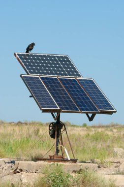 ışık elektrik paneli. doğada fotoğrafı