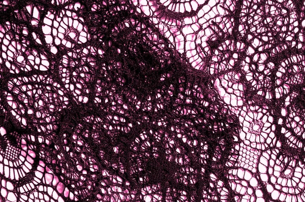 doku, arka plan, desen. dantel kumaş. Kırmızı renk. Yumuşak ve dokusal, polyester ve naylon ve draperies muhteşem bir karışımı oluşur.