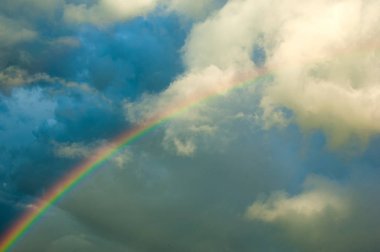 Çiçek leylak yeşil yaprakları yakın çekim bir arka plan üzerinde beyaz. Beyaz Lila çiçek arka plan / beyaz leylak makro / bahar çiçek / şırınga vulgaris. 