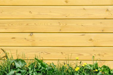 Doku, beyaz tahta, arka plan. Panoları yukarıdan bir arka plan ile kopyalama ve montajı için yer olarak görülebilir cila ile boyalı.