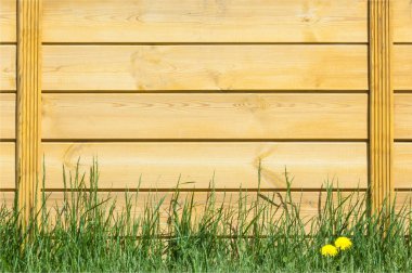 Doku, arka plan, desen. İyi bir arka plan. Panoları kalkan olarak bağlanır. Ahşap duvar yeşil çim ile. Ahşap doku, doğal ahşap arka plan.