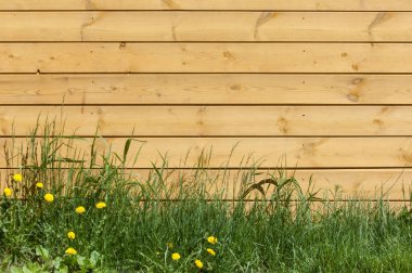 Doku, arka plan, desen. İyi bir arka plan. Panoları kalkan olarak bağlanır. Ahşap duvar yeşil çim ile. Ahşap doku, doğal ahşap arka plan.