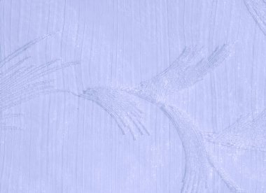 Doku, arka plan, desen. Tül pastel tonları. Mor katlanmış dantel kapatın. Arka plan olarak pastel mor buruşuk tül. Makro görünümü dikiş elbise. Saf düğün Tekstil.