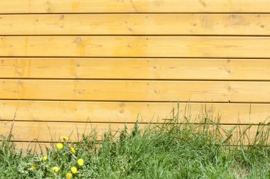 Doku, arka plan, desen. İyi bir arka plan. Panoları kalkan olarak bağlanır. Ahşap duvar yeşil çim ile. Ahşap doku, doğal ahşap arka plan.