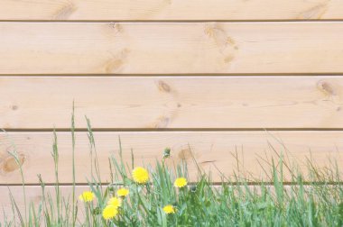 Doku, arka plan, desen. İyi bir arka plan. Panoları kalkan olarak bağlanır. Ahşap duvar yeşil çim ile. Ahşap doku, doğal ahşap arka plan.