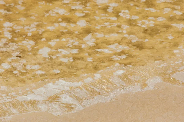 Tuz bataklıkları doku. Doğada fotoğrafı