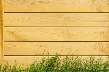 Doku, arka plan, desen. İyi bir arka plan. Panoları kalkan olarak bağlanır. Ahşap duvar yeşil çim ile. Ahşap doku, doğal ahşap arka plan.