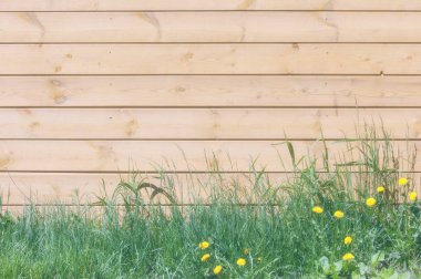 Doku, arka plan, desen. İyi bir arka plan. Panoları kalkan olarak bağlanır. Ahşap duvar yeşil çim ile. Ahşap doku, doğal ahşap arka plan.