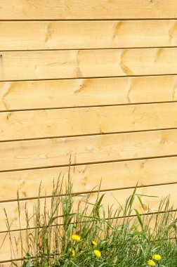 Doku, arka plan, desen. İyi bir arka plan. Panoları kalkan olarak bağlanır. Ahşap duvar yeşil çim ile. Ahşap doku, doğal ahşap arka plan.