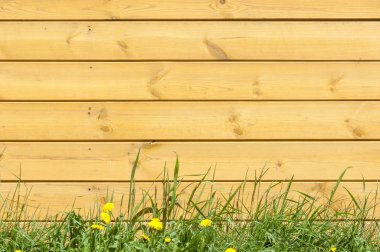 Doku, arka plan, desen. İyi bir arka plan. Panoları kalkan olarak bağlanır. Ahşap duvar yeşil çim ile. Ahşap doku, doğal ahşap arka plan.