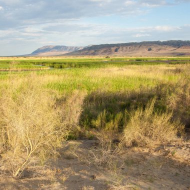 Bozkır yaz. Turgai kapısı. Turgai Kaydet. Milli Parkı 