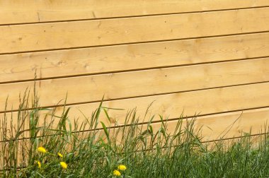 Doku, arka plan, desen. İyi bir arka plan. Panoları kalkan olarak bağlanır. Ahşap duvar yeşil çim ile. Ahşap doku, doğal ahşap arka plan.