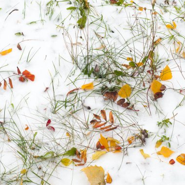 Sonbahar kar doku bırakır. Sokakta fotoğrafı