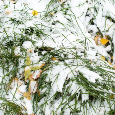 Sonbahar kar doku bırakır. Sokakta fotoğrafı