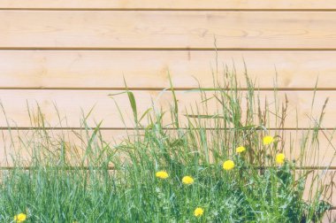 Doku, arka plan, desen. İyi bir arka plan. Panoları kalkan olarak bağlanır. Ahşap duvar yeşil çim ile. Ahşap doku, doğal ahşap arka plan.