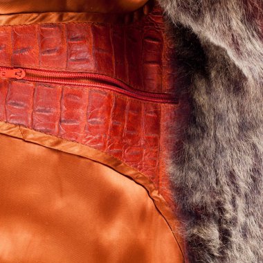 Timsah Cilt. Sanatsal deri timsah