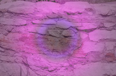 Doku, arka plan, desen. Granit taş. Doku gri granit. Düzensiz taşlar dış duvarına. Beyaz ve soluk kırmızı taşlar. Kaba ve paslı taş doku