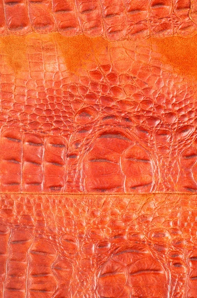 Crocodile Skin Artistic Leather Crocodile — Stock Photo, Image