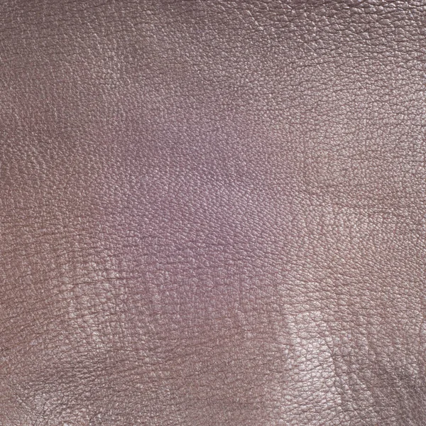 Texture Skin Photo Taken Studio — Stock Photo, Image