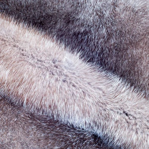 Mink Fur Texture Mink Coat Photographed Studio — Stock Photo, Image