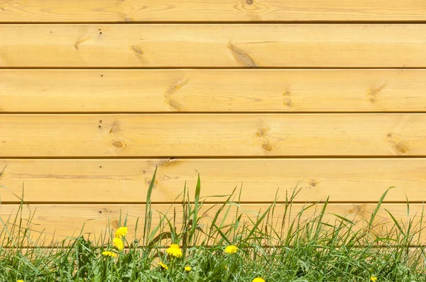 Doku, arka plan, desen. İyi bir arka plan. Panoları kalkan olarak bağlanır. Ahşap duvar yeşil çim ile. Ahşap doku, doğal ahşap arka plan.