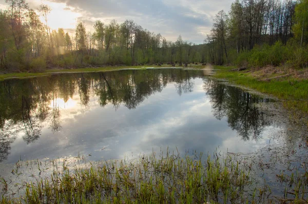 Bahar manzara. Bir güzel bahar yatay bir bataklık, gündoğumu. Yeşil orman ve bulutlu gökyüzü bulutlu. Açık havada doğal çevre kavramı.