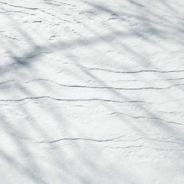 雪纹理 大气中的水汽 冻成冰晶体和光白成小薄片落或躺在地上一层白色的作为 — 图库照片