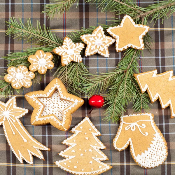 Christmas Cookies Cloth Box Texture — Stock Photo, Image