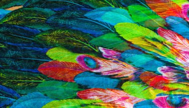 doku ipek kumaş. arka plan. renkli peri tüyler kuş