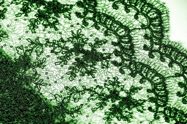 Textuur, patroon, Lace stof in het groen op een witte achtergrond. Th — Stockfoto