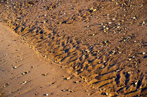 Sommerlandschaft. eine Zeichnung auf dem Sand durch Wasser und gewinnen — Stockfoto