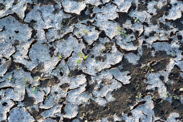 Texture, background, pattern, Earth, broken from sunlight, soil